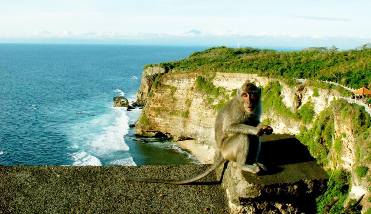 Hakuna Matata Bali Villas Uluwatu  Exterior photo